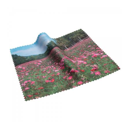 PCT004_2