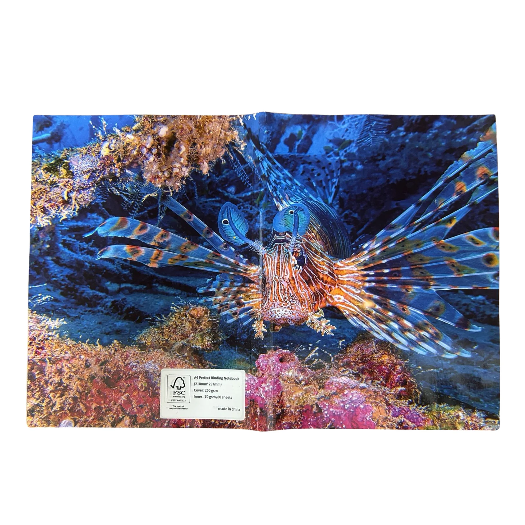 imgi_48_A4SSSCNB_1680x