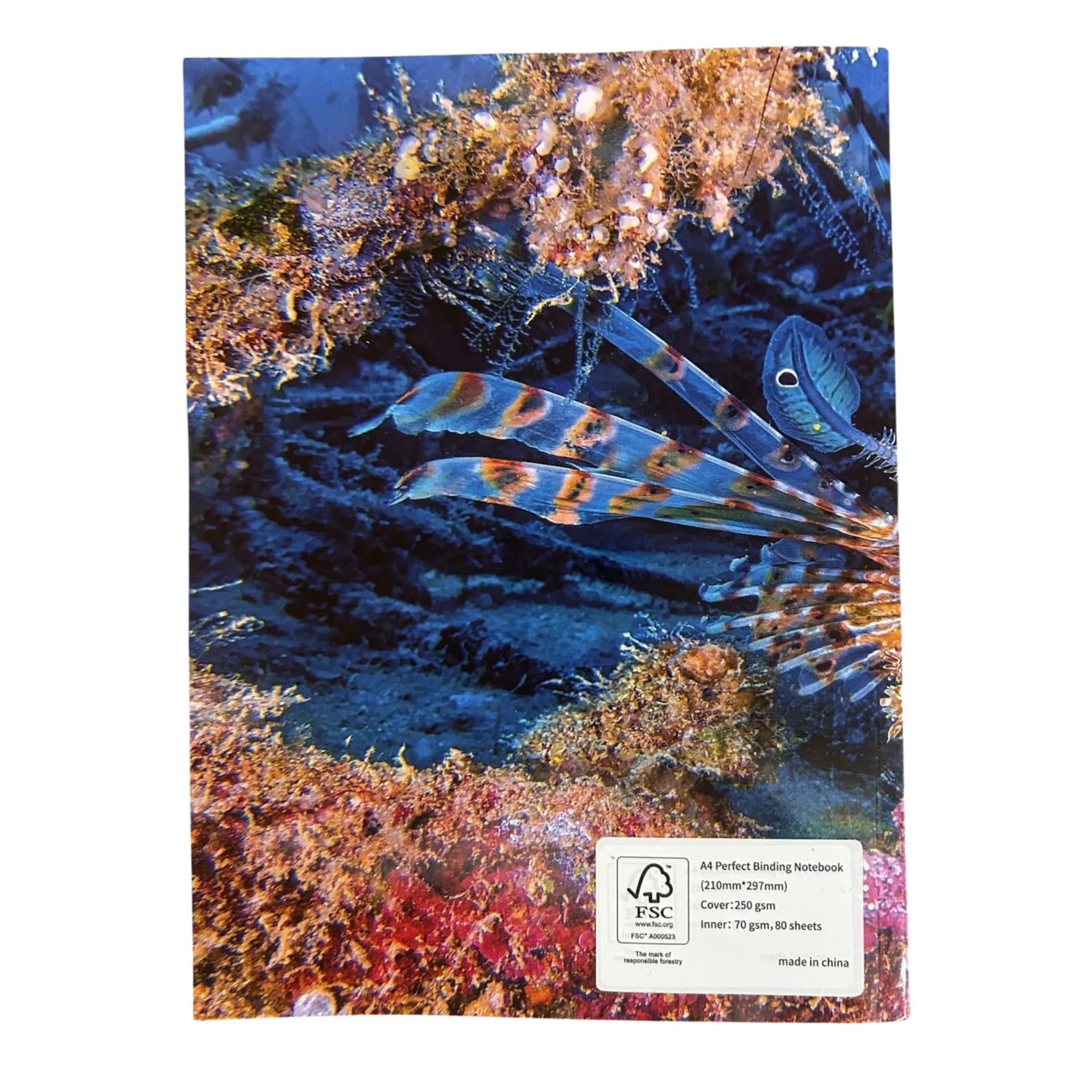 imgi_50_A4SSSCNB_1_1680x